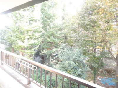 【展望】 | バードランド小金井