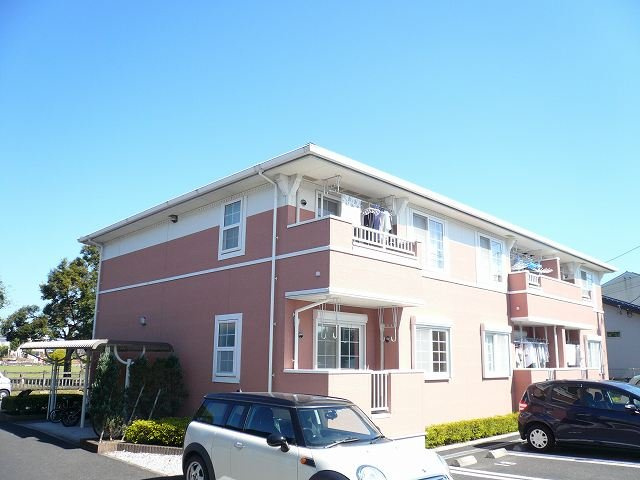 ロング　シーダー　Ｍ