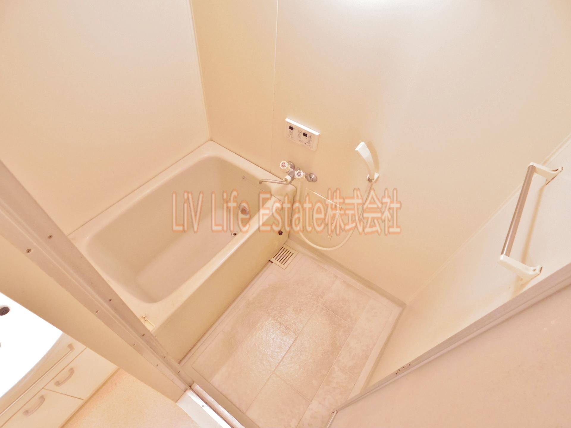 アンティロウプ|同仕様写真