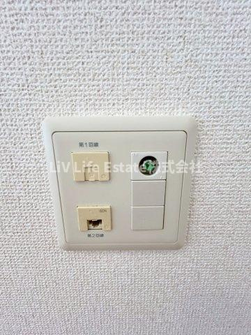 エコタワーバオバブ