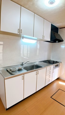 美浜町河和台1丁目戸建てのキッチン