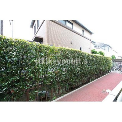 【展望】 | ＴＩＥＲＲＡ石神井公園