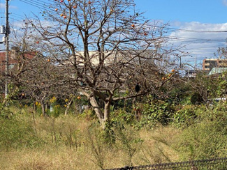 【周辺】 | yukoto  B棟