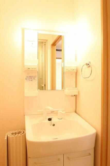 ドエル上池袋の洗面所