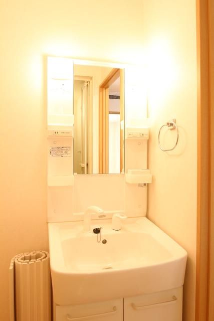 ドエル上池袋の洗面所