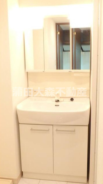 パレステュディオ大森WESTの洗面所