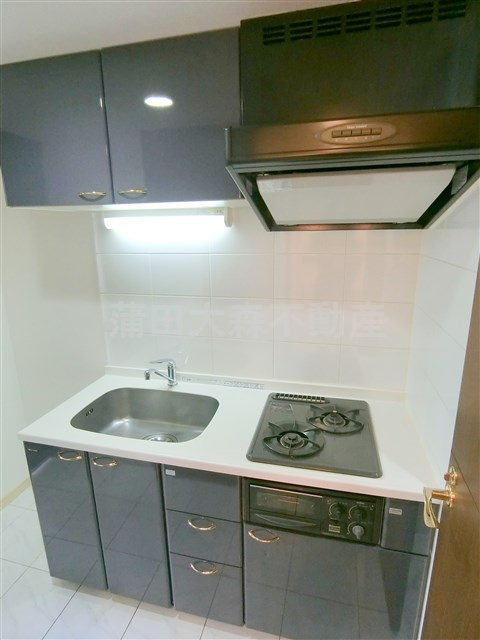 パレステュディオ大森WESTのキッチン|2口ガスグリル付システムキッチン