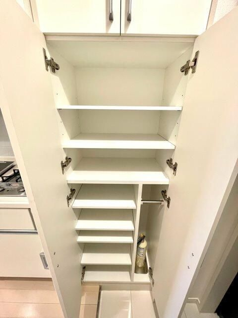 レジディア用賀の玄関|■モニタ付インターホン■シューズクローゼット■ダウンライト