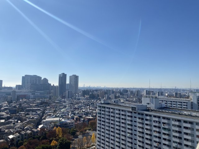 グラン・エステ川崎ツインタワー弐番館の展望