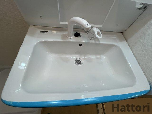 ヴィラ大鹿の洗面所