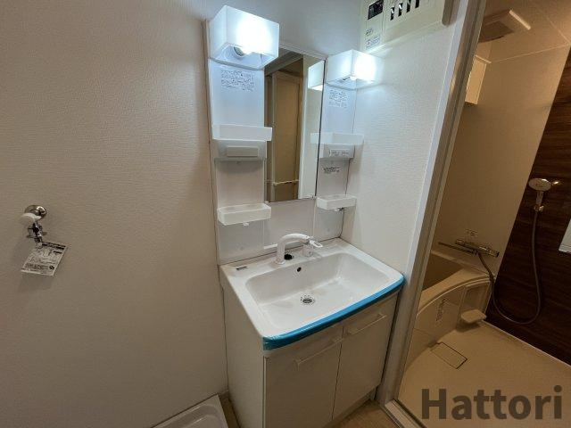 ヴィラ大鹿の洗面所