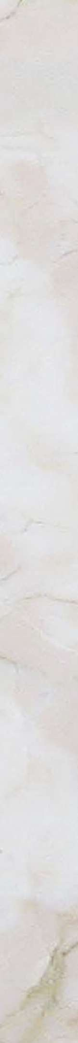 横浜市神奈川区神大寺１丁目 新築戸建てのその他