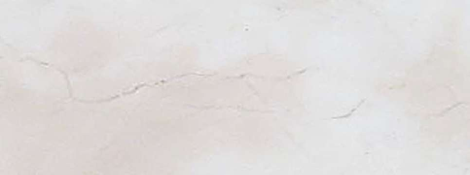 横浜市神奈川区神大寺１丁目 新築戸建てのその他