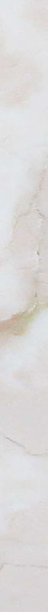 横浜市神奈川区神大寺１丁目 新築戸建てのその他