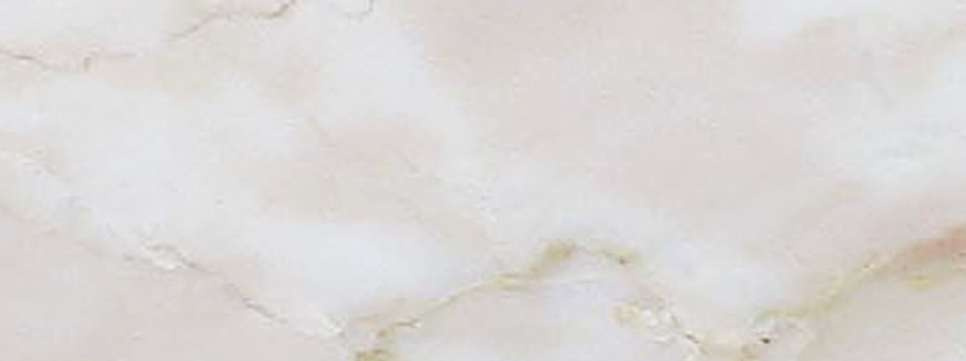 横浜市神奈川区神大寺１丁目 新築戸建てのその他