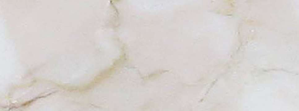 横浜市神奈川区神大寺１丁目 新築戸建てのその他