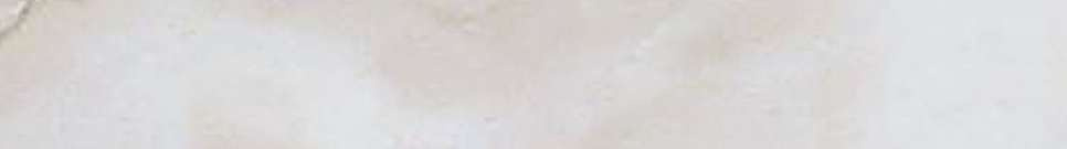 横浜市神奈川区神大寺１丁目 新築戸建てのその他