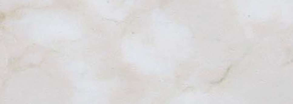 横浜市神奈川区神大寺１丁目 新築戸建てのその他