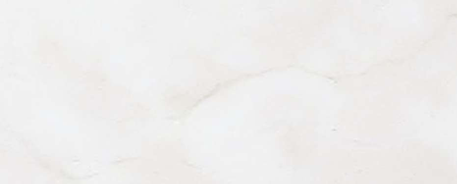 横浜市神奈川区神大寺１丁目 新築戸建てのその他