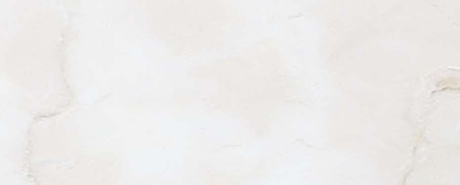 横浜市神奈川区神大寺１丁目 新築戸建てのその他