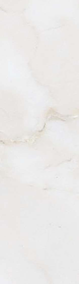 横浜市神奈川区神大寺１丁目 新築戸建てのその他