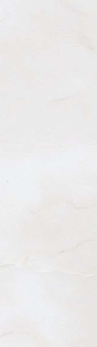 横浜市神奈川区神大寺１丁目 新築戸建てのその他