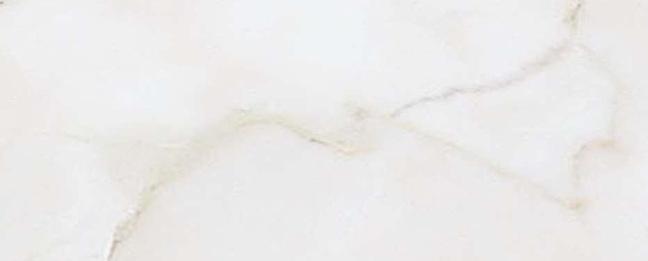 横浜市神奈川区神大寺１丁目 新築戸建てのその他