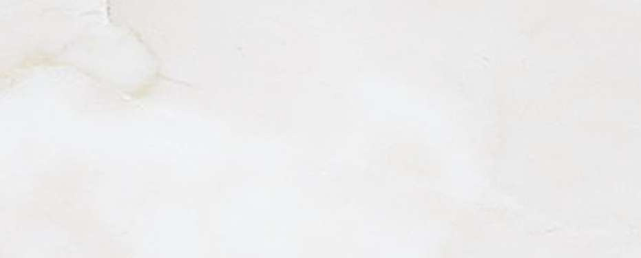 横浜市神奈川区神大寺１丁目 新築戸建てのその他