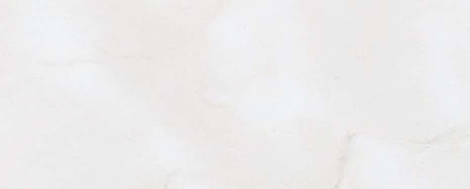 横浜市神奈川区神大寺１丁目 新築戸建てのその他