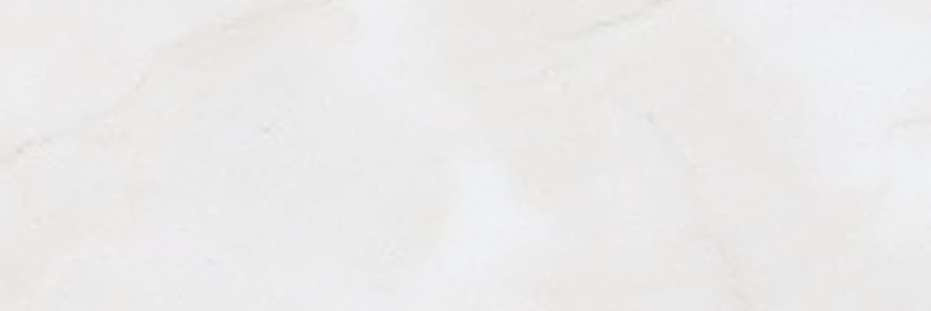 横浜市神奈川区神大寺１丁目 新築戸建てのその他