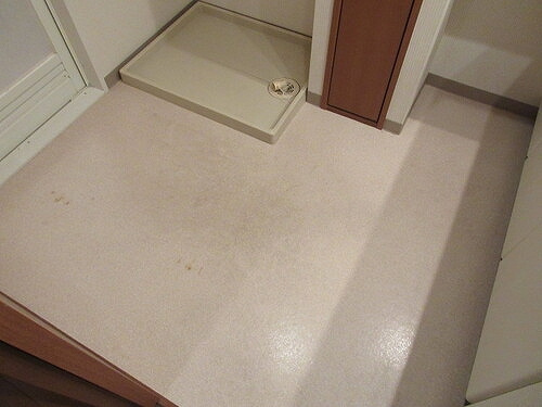 ライオンズステージ目黒本町の設備|室内洗濯機置場　※2022年3月撮影