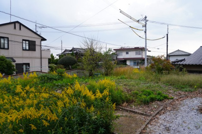 【庭】 | 西岐波（江頭）中古住宅