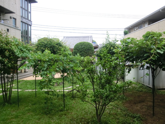 ビエナコートの展望|バルコニーからの眺めです。