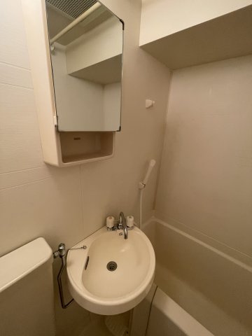 エクセリア新宿の洗面所