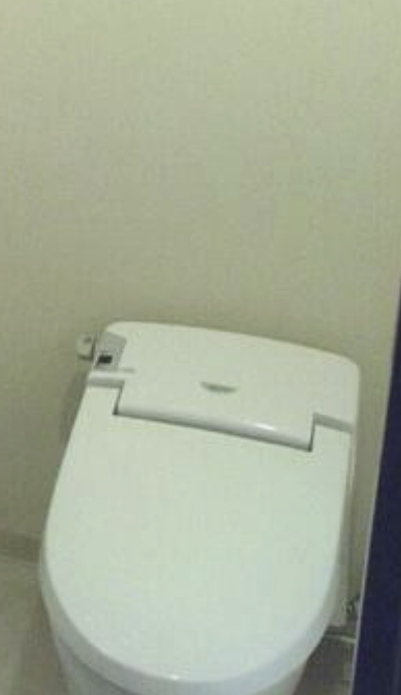 カスタリア日本橋のトイレ