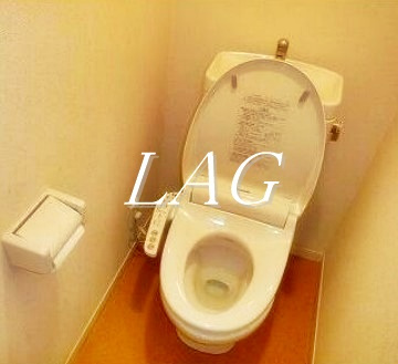 【トイレ】 | プラートフジ伍番館 | トイレです。