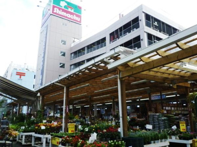 島忠大田千鳥店まで608m