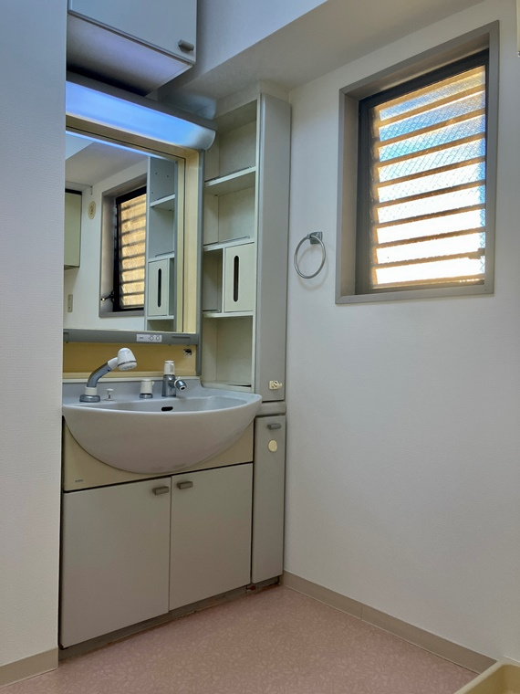 シティ・フィールド上野ナンバー・１の洗面所