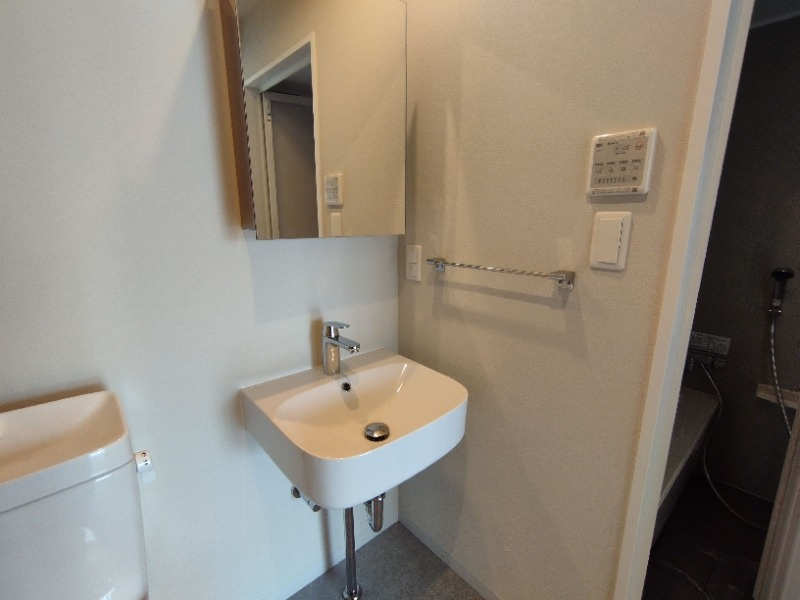 COZY岡崎柱町の洗面所