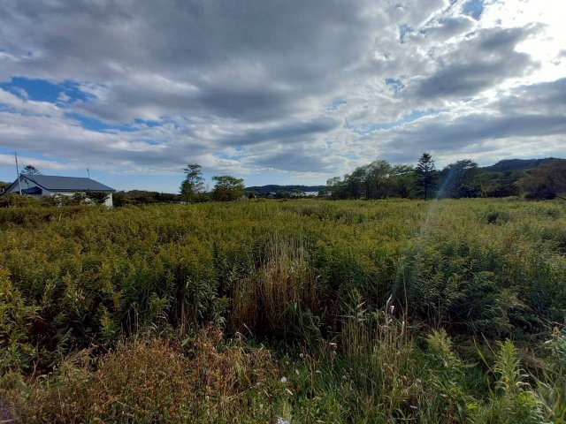 阿寒町仲町1丁目　売土地（1,300坪以上）の外観