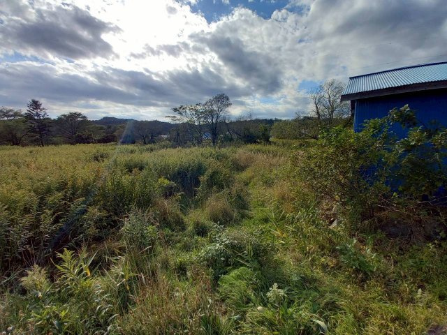 阿寒町仲町1丁目　売土地（1,300坪以上）の外観