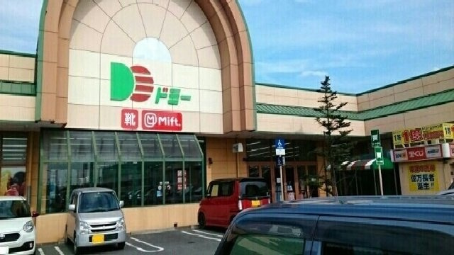 ネオシティ葵Ｃの周辺|ドミー小坂井店様まで1200m
