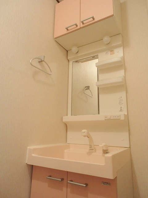 メゾンエクセリアＢ棟の洗面所|忙しい朝に嬉しいシャンプードレッサー