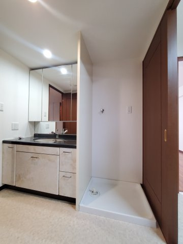 ダイアパレス草加　ヴィラ・リゾートの洗面所|忙しい朝には欠かせない洗面所です