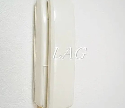 【セキュリティ】 | フルーレ | インターホンです。