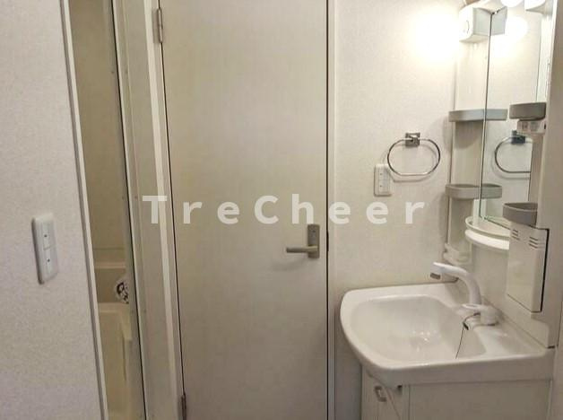 グランドメゾンFの洗面所