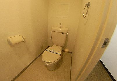 和泉市肥子町２丁目の賃貸マンションのトイレ|清潔感のあるトイレです