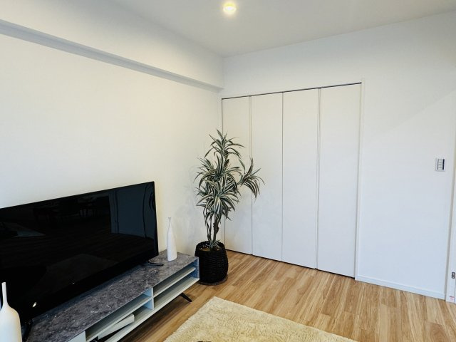 マクシスタワーズアーバンデュオの収納|～収納力の高いクローゼット完備～