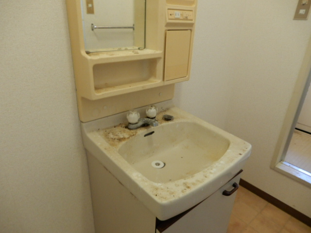 タウニィ高岡Ｂ棟の洗面所