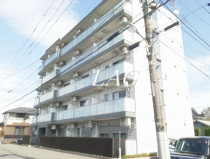 インテリオーラの画像